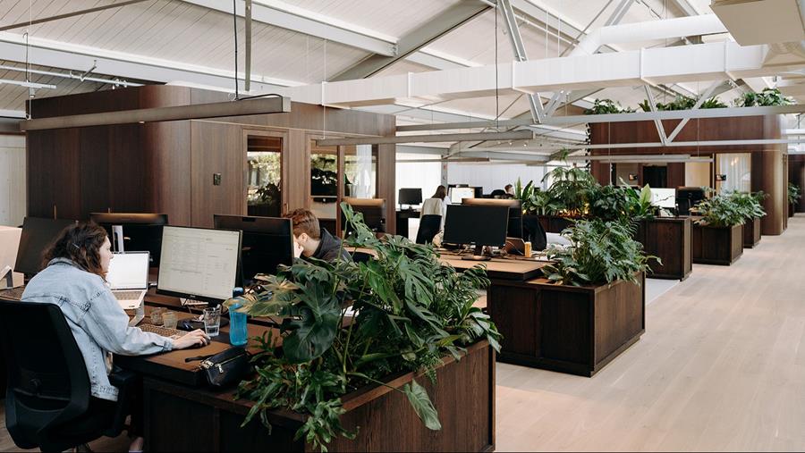 Un intérieur magique pour le nouveau siège de Tomorrowland