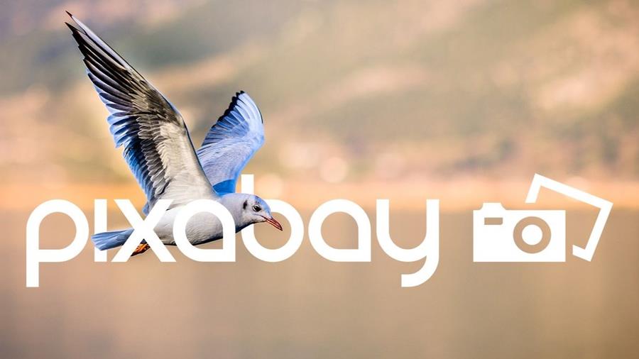 De 5 beste websites voor gratis afbeeldingen